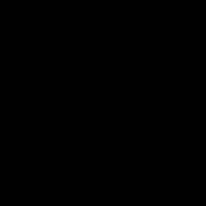 Meet your Posher, Willam